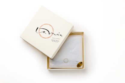 La Mia Torta Nocino di Modena